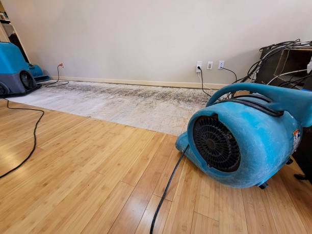 Professional Sewage Cleanup technician working in Patchogue, NY